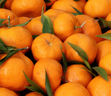 MANDARIN